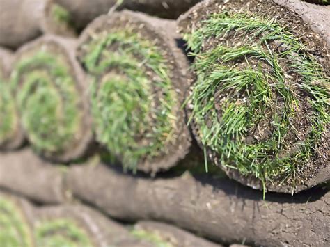 Sod Pallet (50 Grass Rolls) Delivered | Kentucky Lawn Care