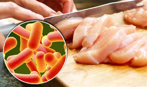 Salmonella symptoms: Signs to watch out for as outbreak emerges ...