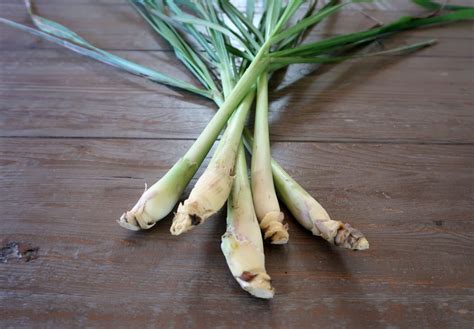 Lemongrass 101: How to buy, prep, and grow the aromatic stalks - Viet World Kitchen