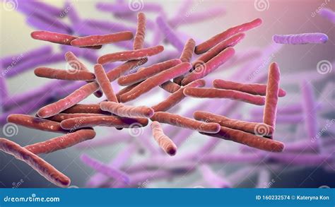 Mycobacterium Leprae Bacteria Stock Illustration - Illustration of ...