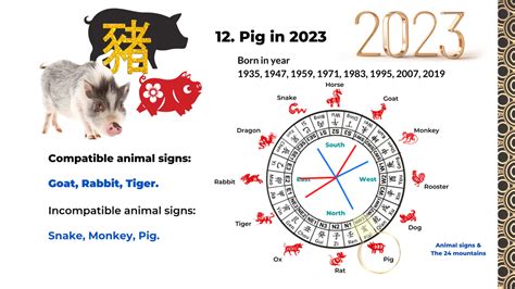 2023 Zodiac Analysis for Rooster, Dog, and Pig - Part 4 of 4 — Picture Healer - Feng Shui and ...