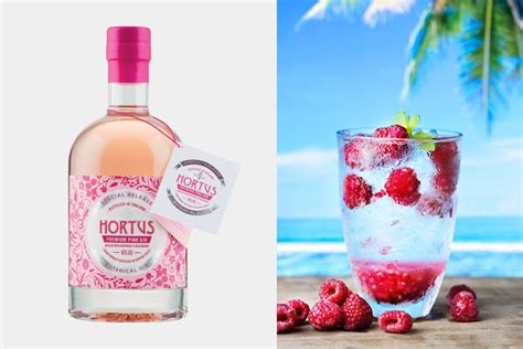 Hortus Pink Gin Is The Reason Why We Love Lidl | The Gin Kin