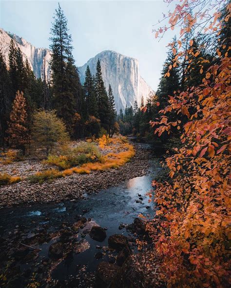 Fall colors along the river. Credits: @dylankato. Tag: #thegreatplanet | Yosemite national park ...