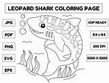 Leopard Shark Coloring Page For Kids Graphic By Abbydesign · Creative  sketch template