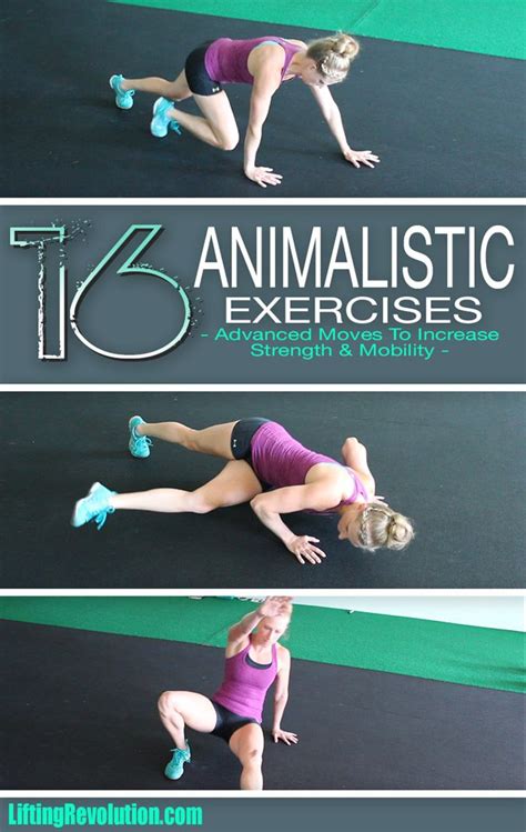 16 Advanced Animal Inspired Exercises To Increase Strength #workout #animalflow | Exercise, Fun ...