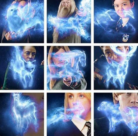 Is your patronus the same animal as the animagus you would be? : r ...