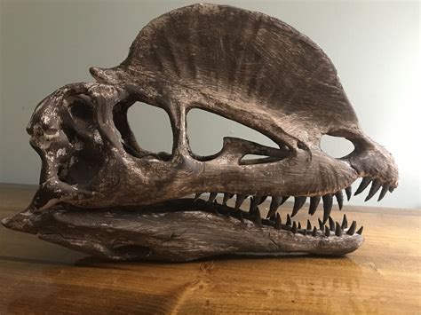 3D printable Dilophosaurus Skull • made with Prusa・Cults