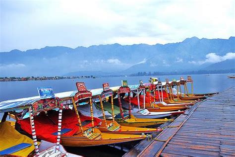 Shikara Ride at Dal Lake, Cost of Shikara Ride in Dal Lake Srinagar