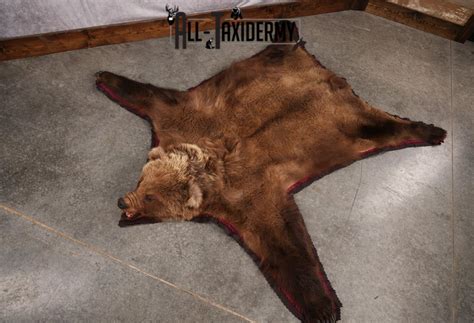 Grizzly Bear Rug SKU 2656 - All Taxidermy