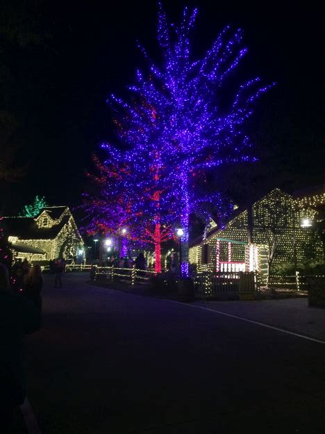 Stone Mountain Christmas Atlanta