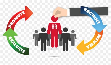 Our Products - Human Resource Management Png - Free Transparent PNG ...