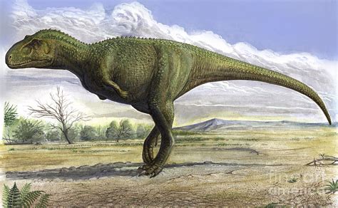 Aucasaurus | Wiki Prehistórico | FANDOM powered by Wikia