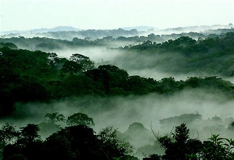 The Business of Exploiting Natural Resources in DR-Congo: Some Valuable Lessons from the Forest ...