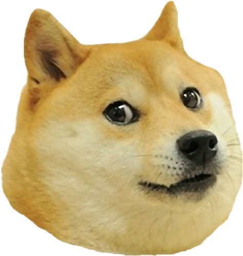 Doge Meme Png Doge Vector Illustration Transparent Png Stickpng | Images and Photos finder