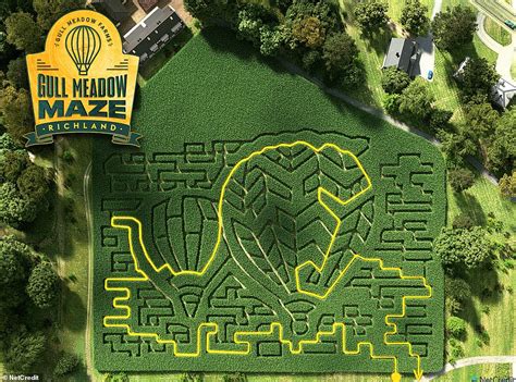 Can YOU find your way out of these amazing corn mazes? | Daily Mail Online