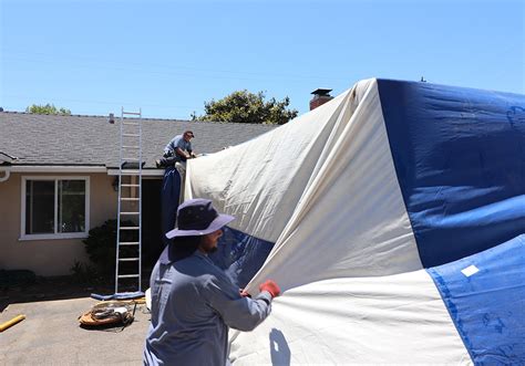 Termite Fumigation San Luis Obispo, Tent Fumigation, Termite Fumigation ...