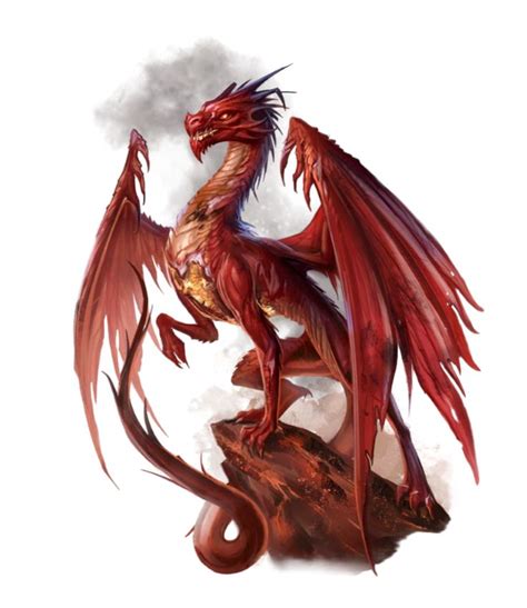 Male Young Red Dragon - Kyrion - Pathfinder 2E PFRPG DND D&D 3.5 5E 5th ed d20 fantasy in 2022 ...