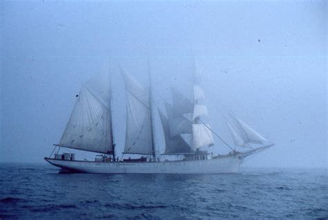 Gazela Tall Ship | Tall ships, Sailing ships, Sailing