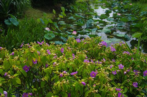 Hong Kong Wetland Park Travel: Entrance Tickets, Travel Tips, Photos and Maps – China Travel ...