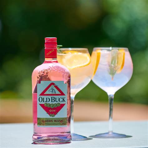 The timeless Old Buck Gin gets a new bright and bold rebrand design - Entertainment SA