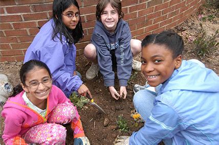 Roots & Shoots - The Jane Goodall Institute