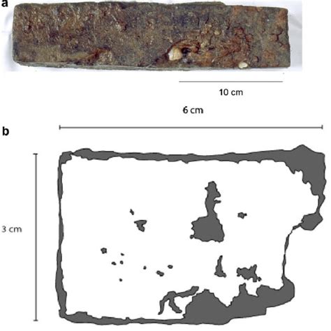 Nital etching on the metallic substrate showing various carbon content,... | Download Scientific ...