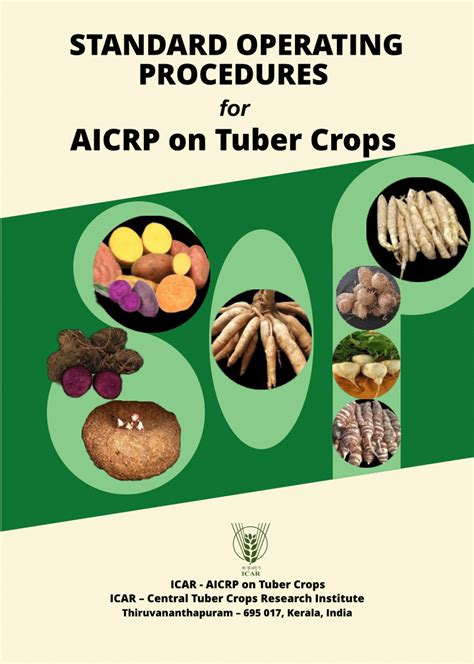 (PDF) Harvest and Post-harvest management of Tuber Crops