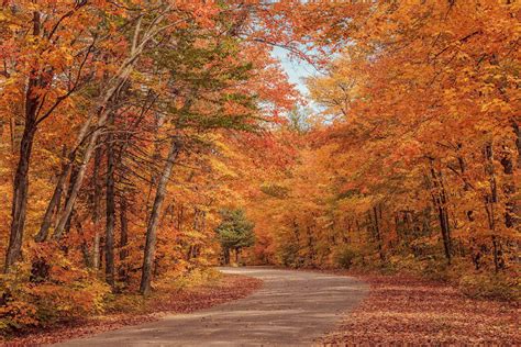 10 places in Canada to see gorgeous fall foliage - Cruiseable