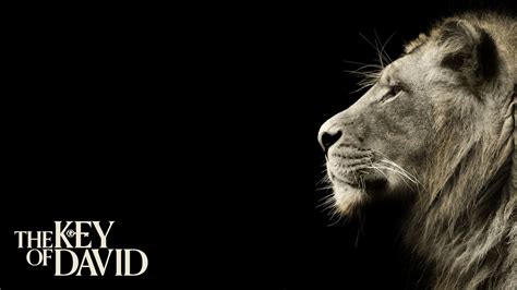 Lion Of The Tribe Of Judah Wallpapers - Wallpaper Cave