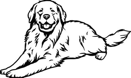 Great Pyrenees Dog Vector Images (52)