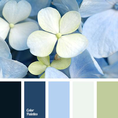 CHAIMA TANAL: [Get 39+] Baby Blue Color Palette