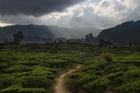 Nuwara Eliya Map - Central Province, Sri Lanka - Mapcarta