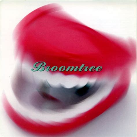 Broomtree – Broomtree (1997, CD) - Discogs