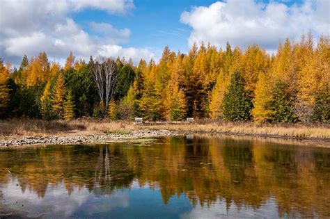 Nature Preserves & Conservation - Experience | Destination Door County