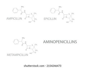 Aminopenicillins Molecular Skeletal Chemical Formula Stock Vector (Royalty Free) 2154246473 ...