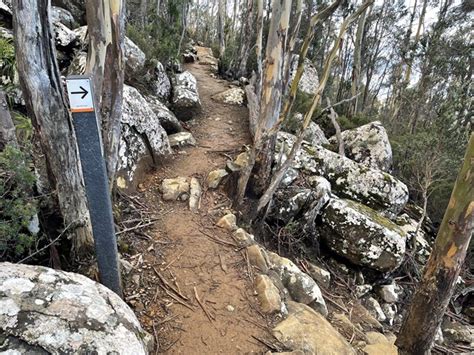 Mt Wellington - Summit Lookouts - Aussie Bushwalking