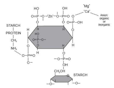 microbial phytase in pig production - Engormix