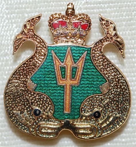 Royal Canadian Navy SHIPS DIVER Skills Badge-Brass & Enamel Royal Canadian Navy, Navy Ships ...