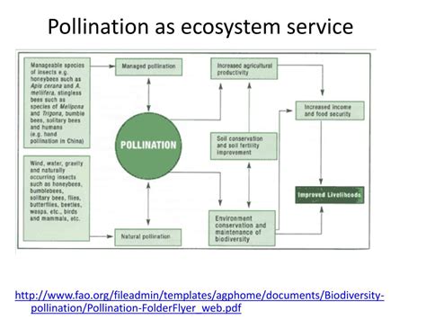 PPT - What is a sustainable agriculture? PowerPoint Presentation, free download - ID:1559019