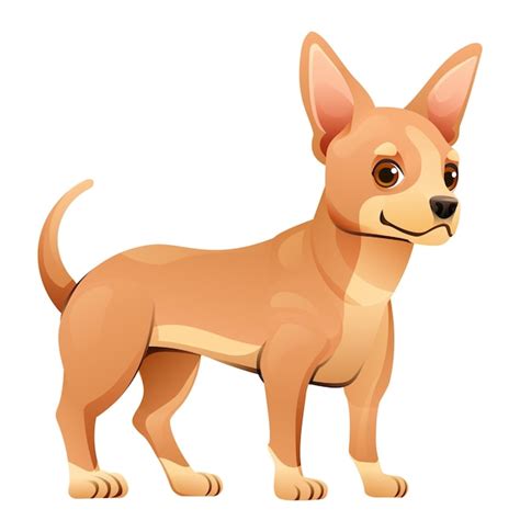 Premium Vector | Chihuahua dog vector cartoon illustration