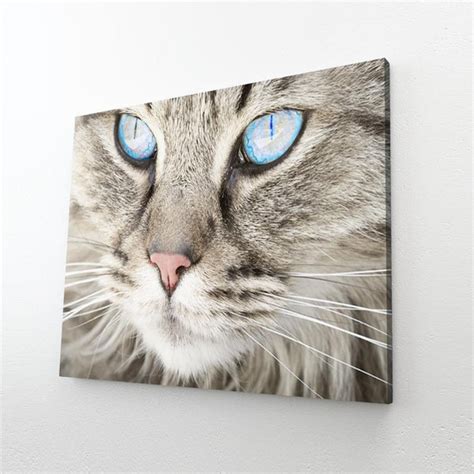 Modern Cat Wall Art | MusaArtGallery™