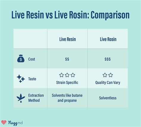 Live Resin vs Rosin: Which Is Right for You? | NuggMD