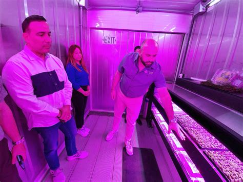 EDB provides $150K in financing for hydroponic farming in Puerto Rico – News is My Business