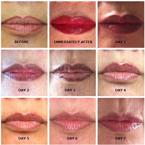 Permanent makeup lips healing process youtube - Saint George Semi Permanent - Makeup Lips Face ...