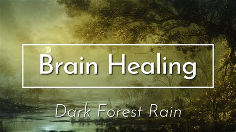 Cozy Rainfall in the Quiet Dark Forest | Serene Rain Sounds for Deep ...