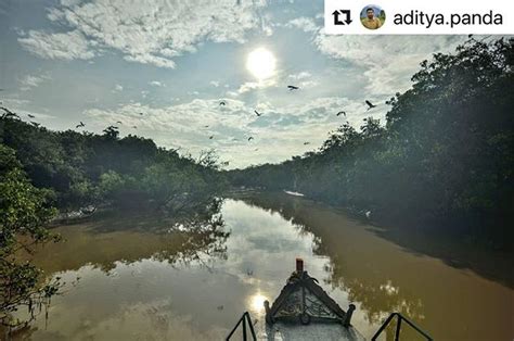 #bhubaneswarbuzz #bhitarkanika #wildlife pic courtesy @aditya.panda ...