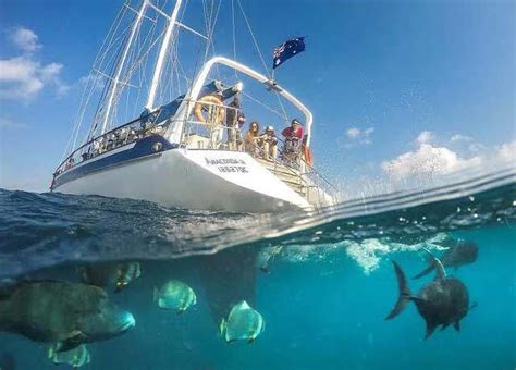 Whitsundays Snorkeling Information | Whitsunday Islands Tours