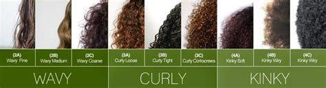 One way of the most common classification method of hair is the Andre ...