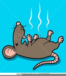 Dead Rat Clipart | Free Images at Clker.com - vector clip art online, royalty free & public domain