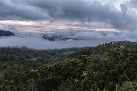 Bosques Nublados de Udima: descubre este refugio de vida silvestre entre Lambayeque y Cajamarca ...